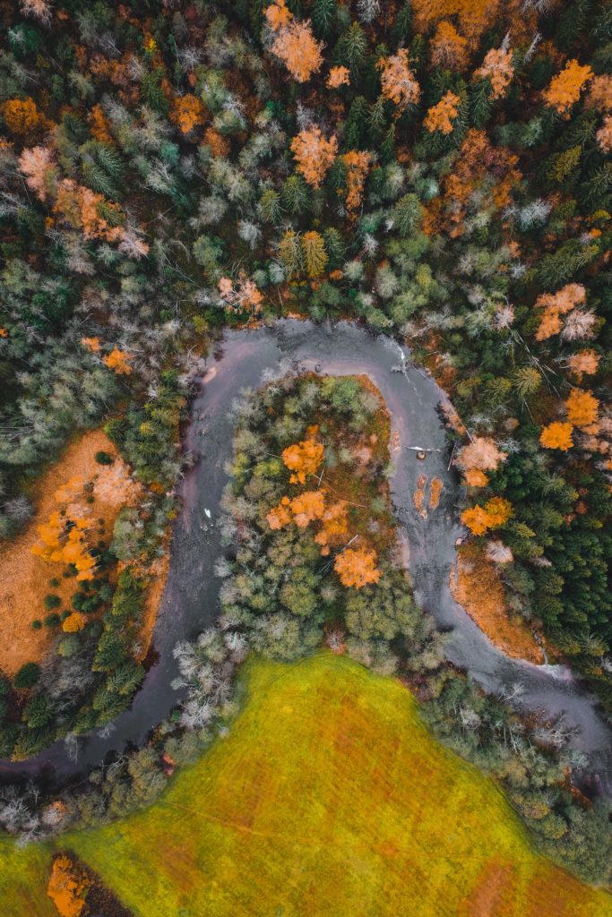 A picturesque aerial view of a winding road bordered by vibrant autumn foliage.