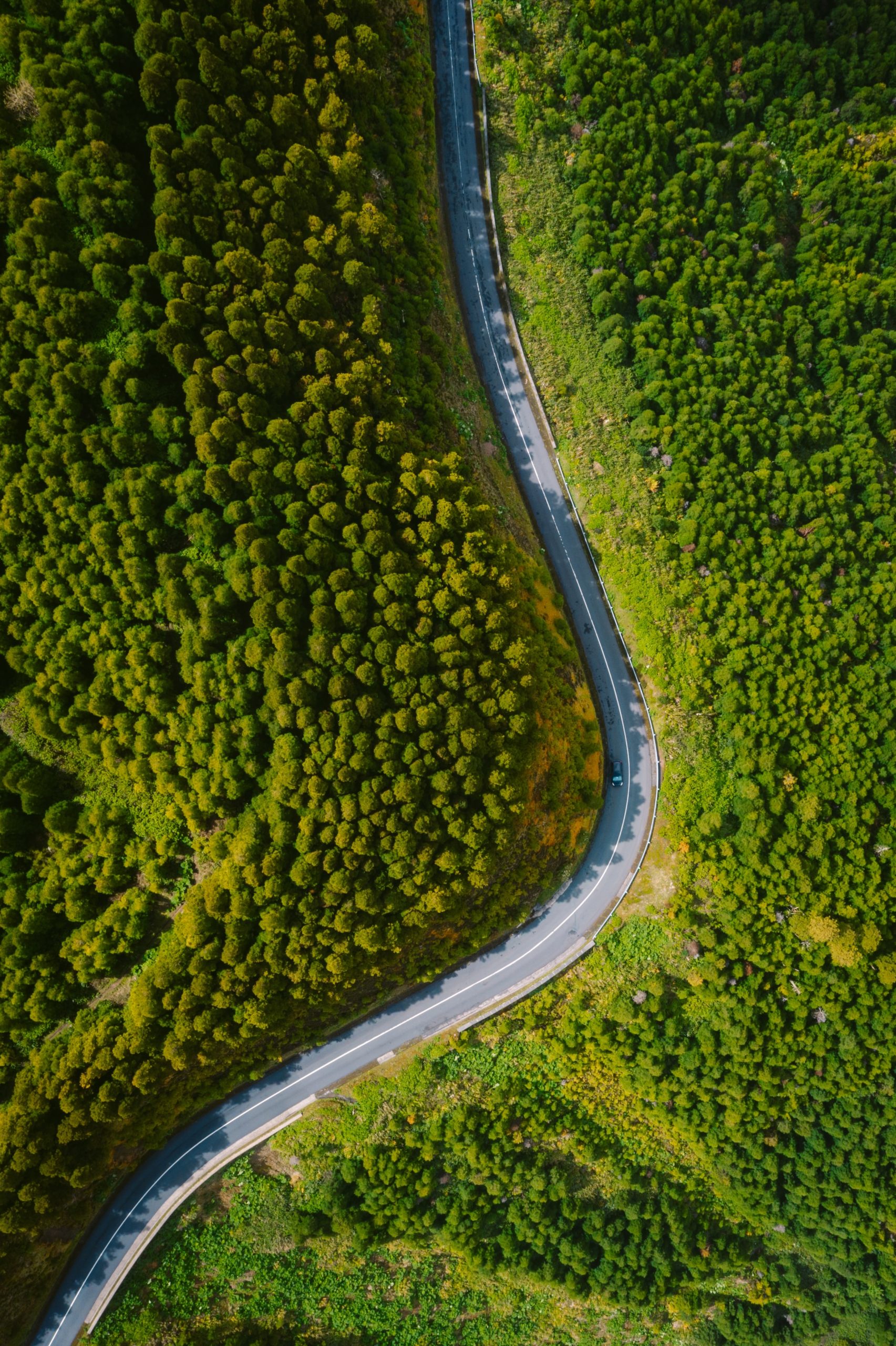 A beautiful, winding road meandering through a lush forest seen from an aerial perspective.