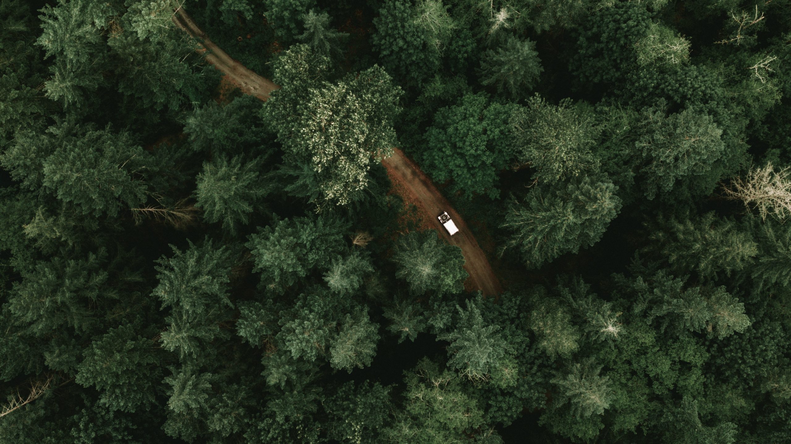 An aerial view of a car driving through a forest with an acted roadmap.