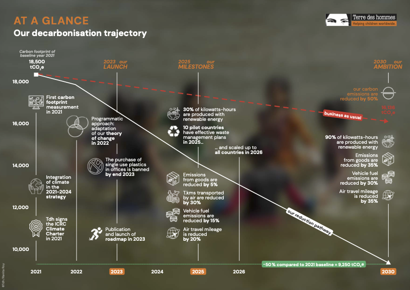 Tdh Foundation's Roadmap summary