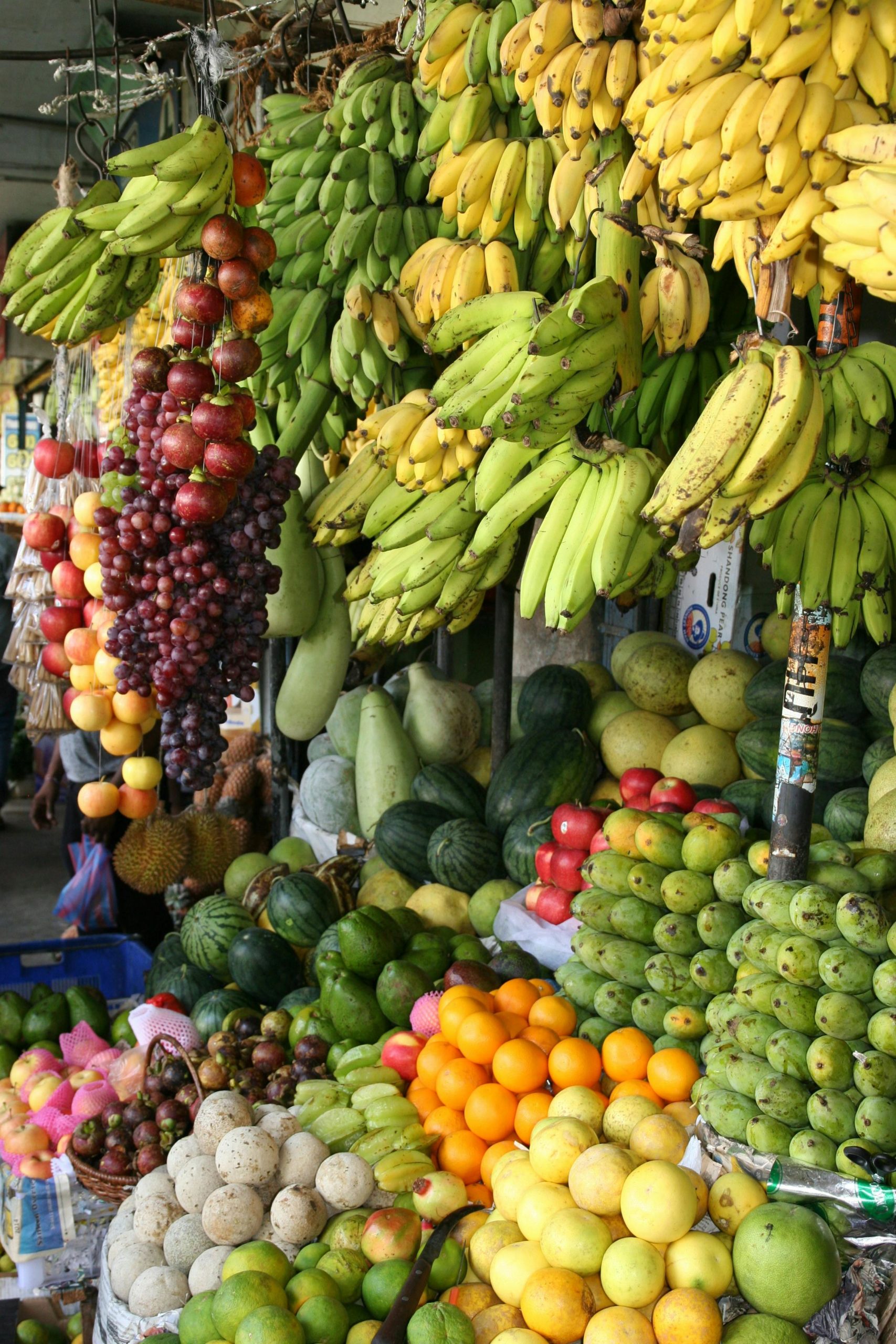 Fruits, protéines d'origine végétale